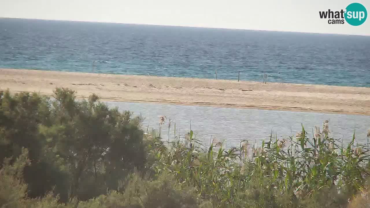 Webcam Chia – Live View of Su Giudeu Beach