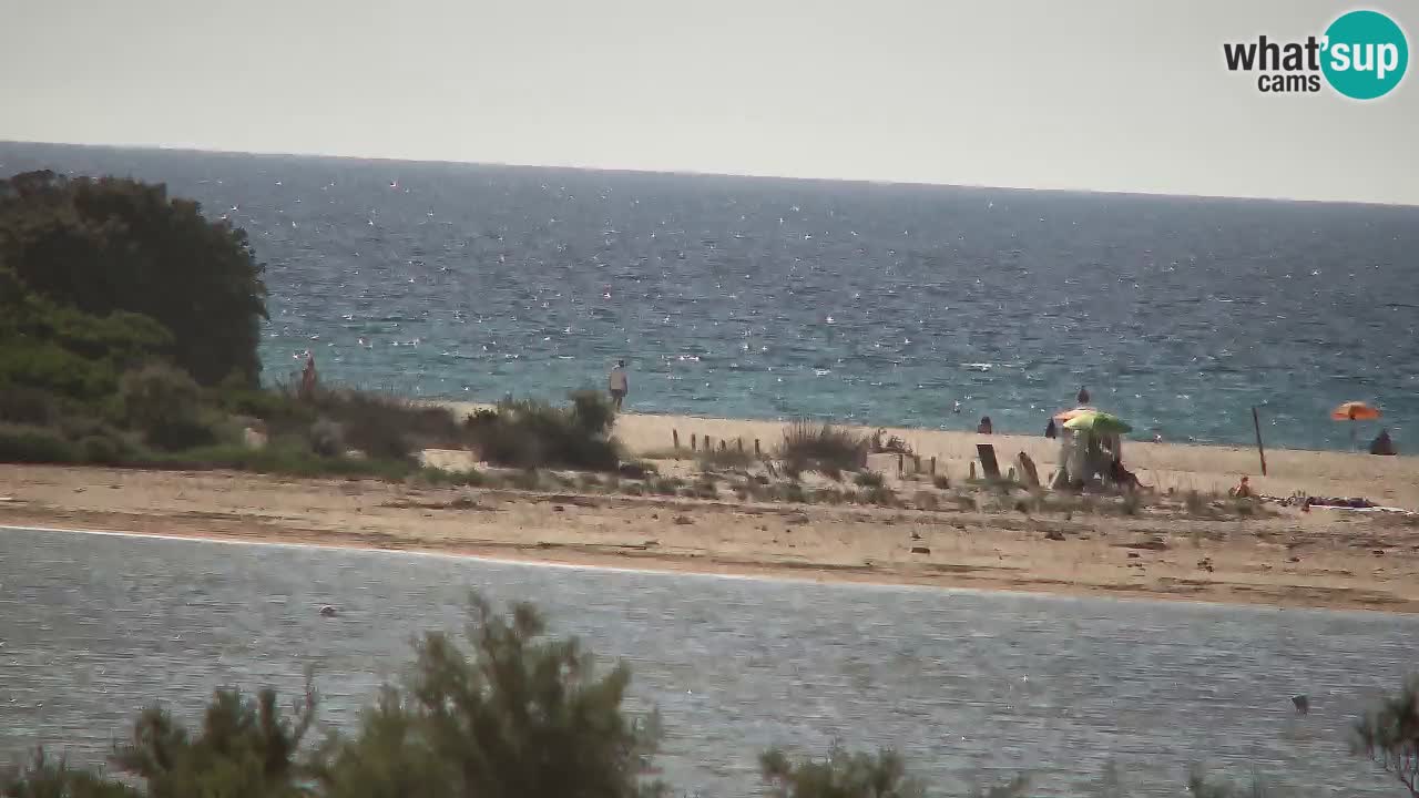 Webcam Chia – Live View of Su Giudeu Beach