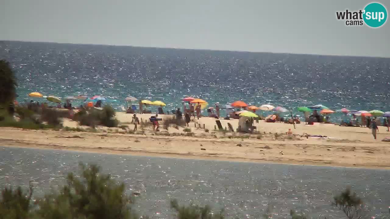 Webcam Chia – Live View of Su Giudeu Beach