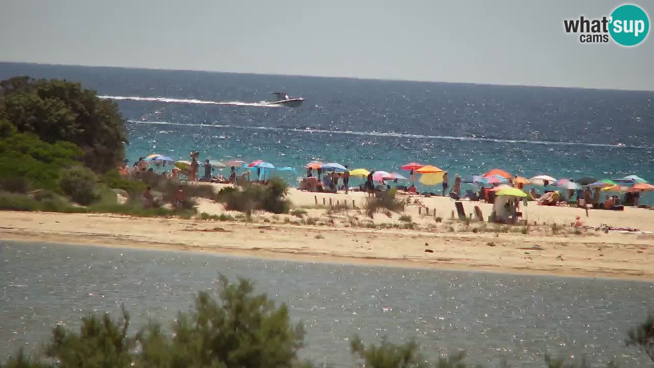 Webcam Chia – Vue en direct de la plage Su Giudeu