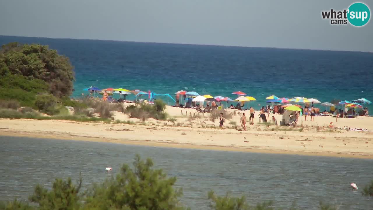 Webcam Chia – Liveblick auf den Strand Su Giudeu