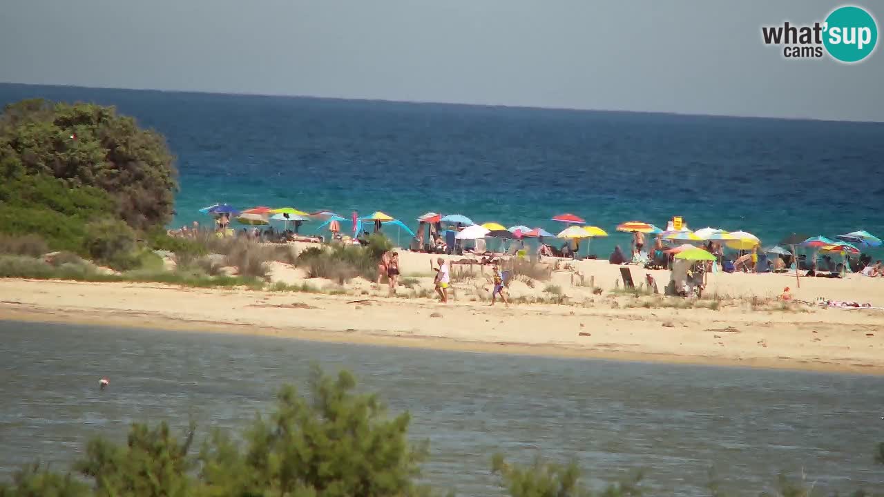 Webcam Chia – Vue en direct de la plage Su Giudeu