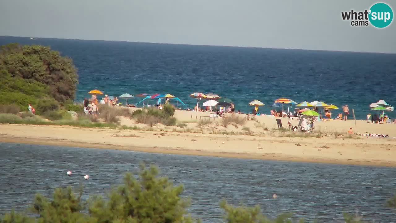 Webcam Chia – Spiaggia Su Giudeu in diretta