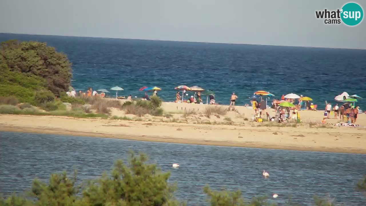 Web kamera Chia – Pogled uživo na plažu Su Giudeu