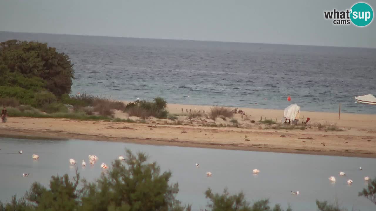 Web kamera Chia – Pogled uživo na plažu Su Giudeu