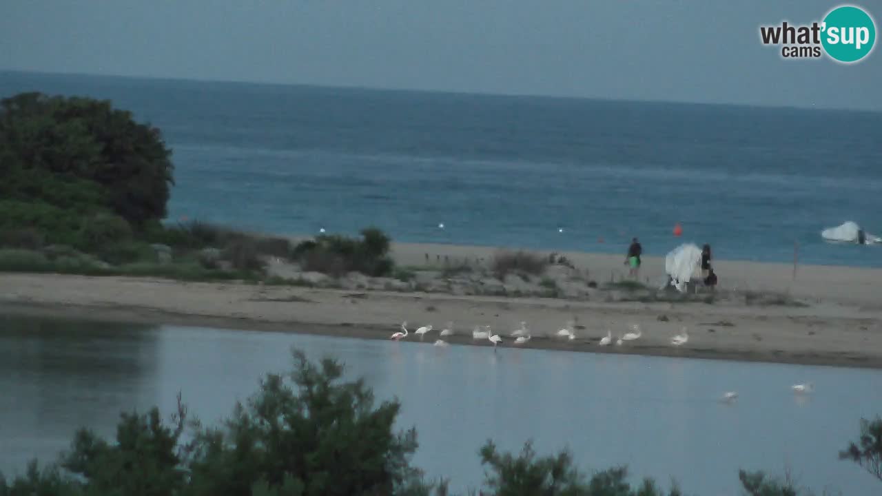 Webcam Chia – Liveblick auf den Strand Su Giudeu