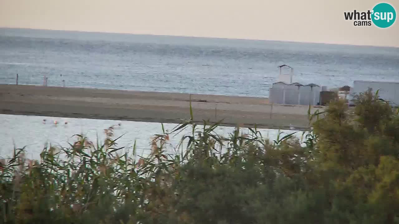 Webcam Chia – Liveblick auf den Strand Su Giudeu