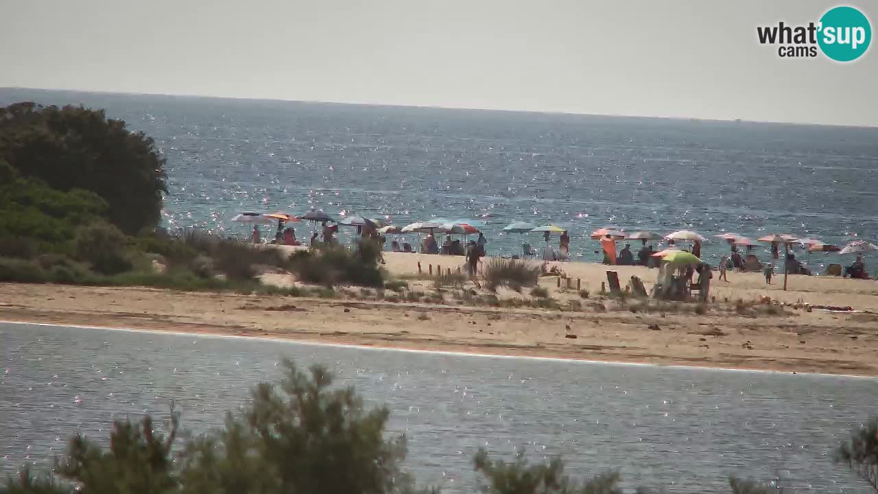 Spletna kamera Chia – Pogled v živo na plažo Su Giudeu