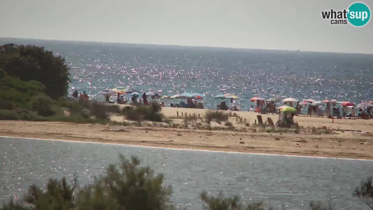 Webcam Chia – Live View of Su Giudeu Beach