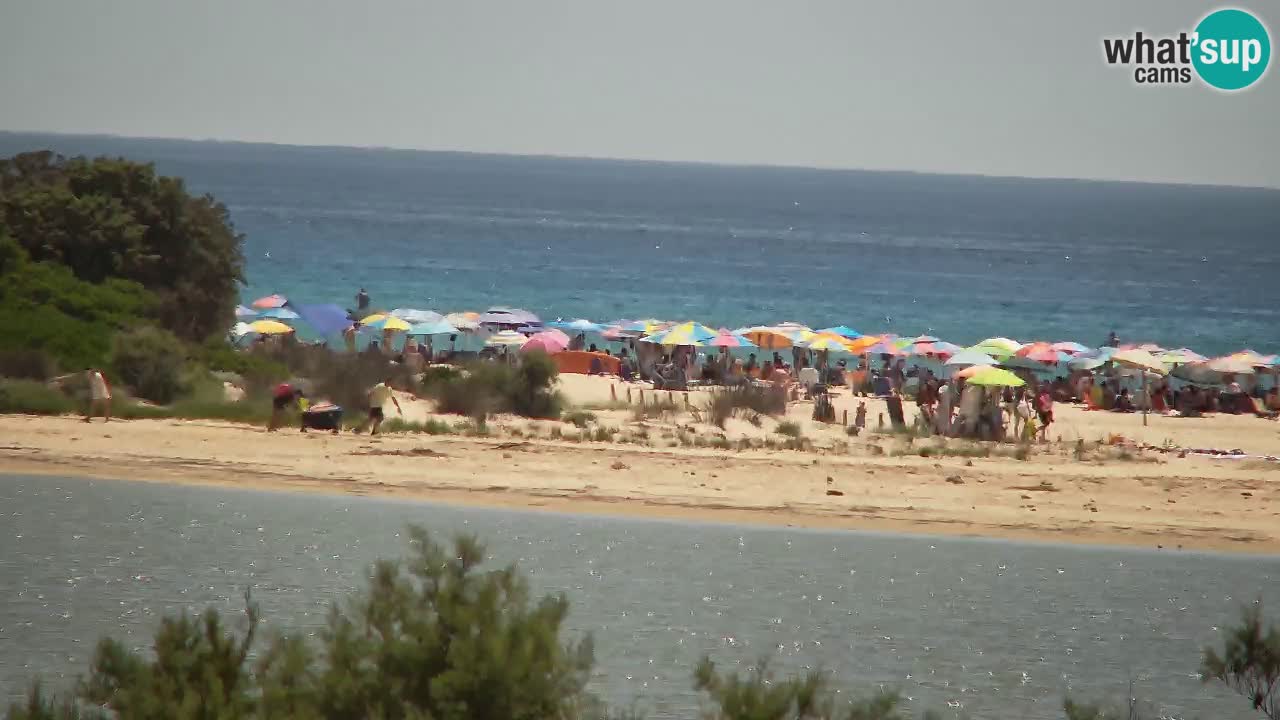 Webcam Chia – Spiaggia Su Giudeu in diretta