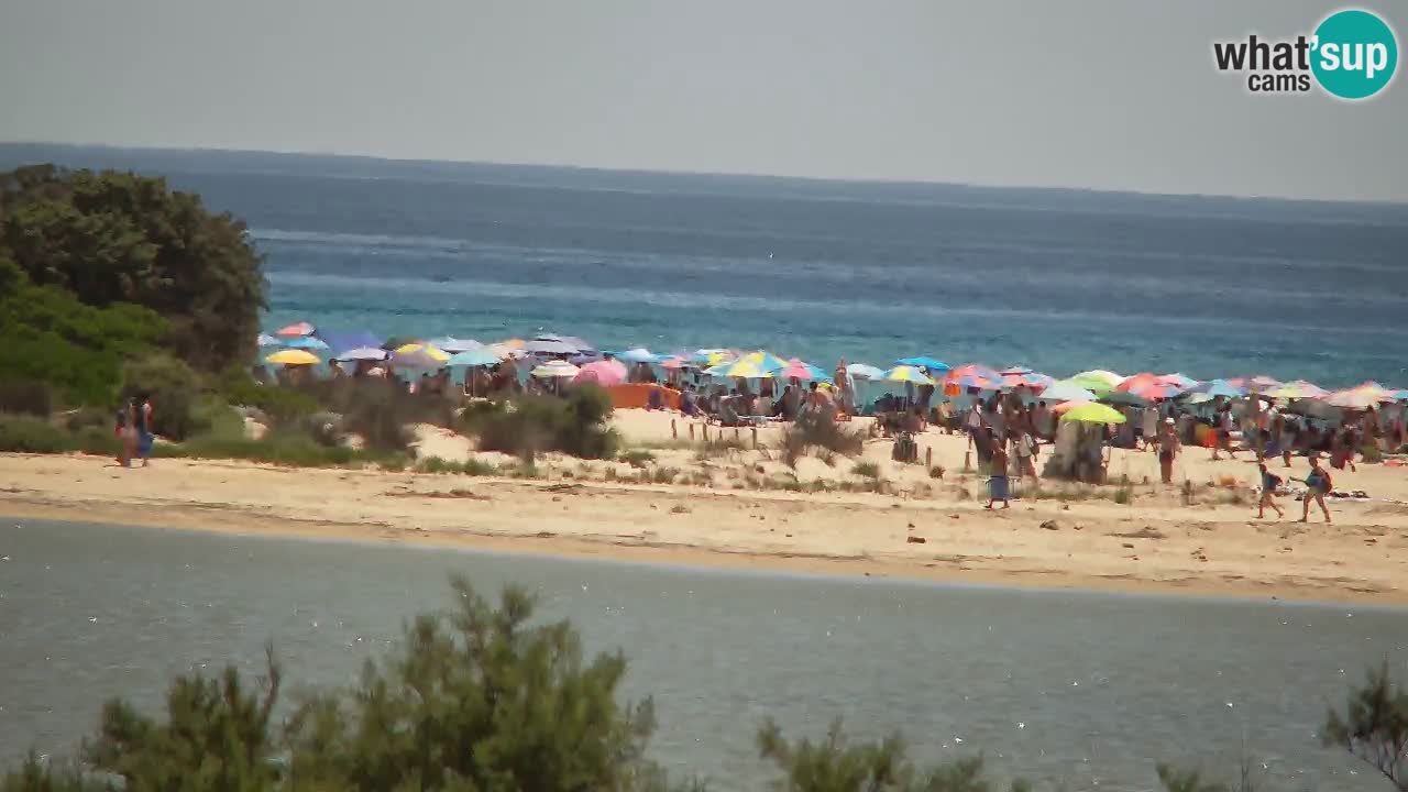 Webcam Chia – Live View of Su Giudeu Beach