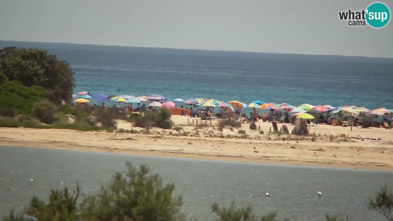 Webcam Chia – Liveblick auf den Strand Su Giudeu