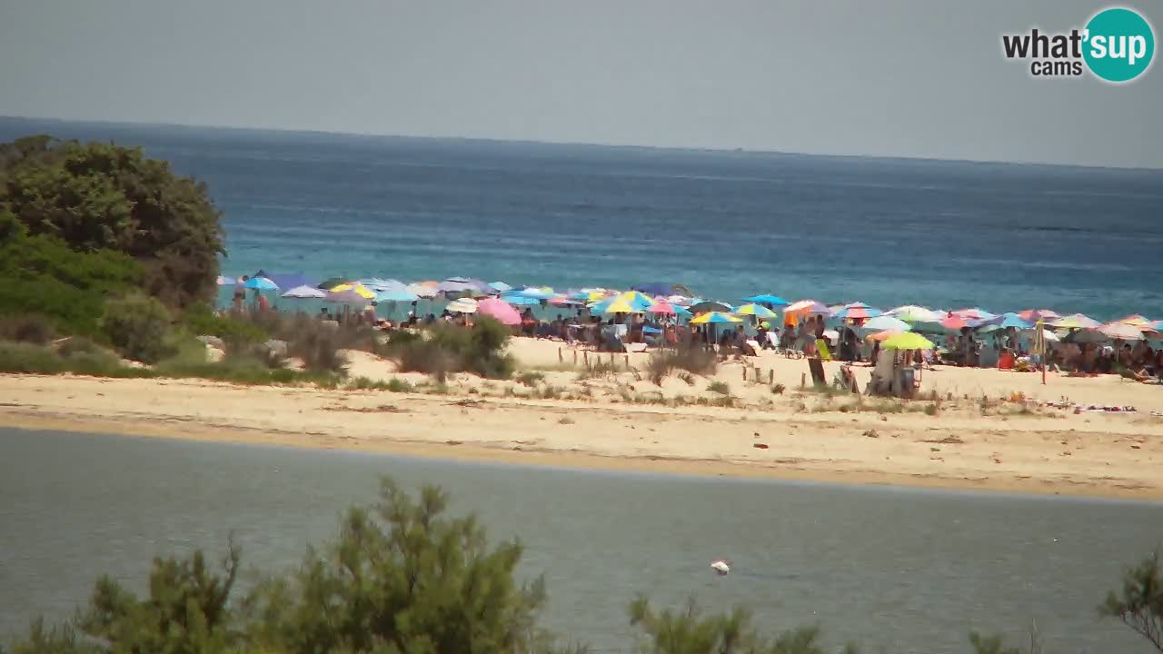 Webcam Chia – Live View of Su Giudeu Beach
