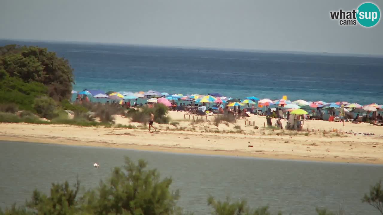 Webcam Chia – Liveblick auf den Strand Su Giudeu