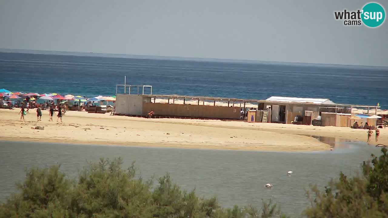Webcam Chia – Live View of Su Giudeu Beach