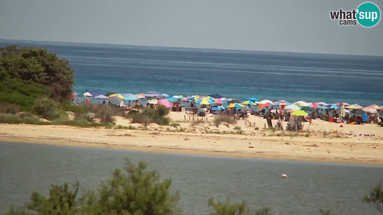 Webcam Chia – Liveblick auf den Strand Su Giudeu