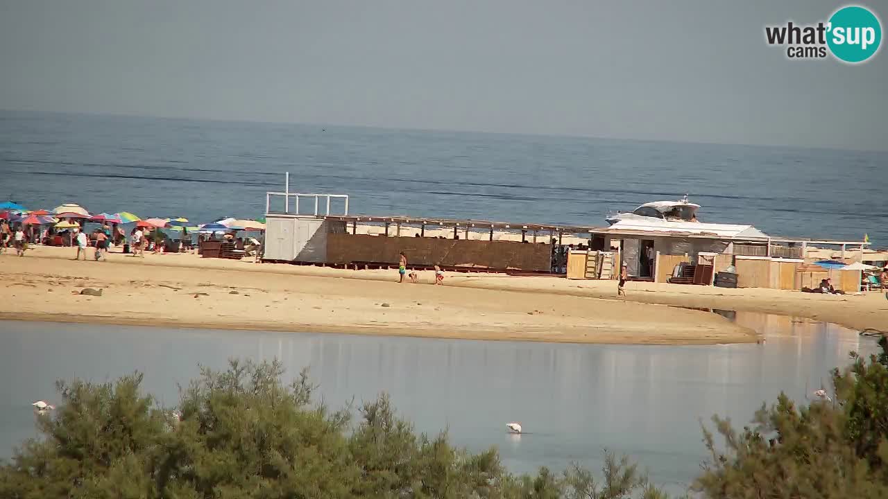Webcam Chia – Vue en direct de la plage Su Giudeu
