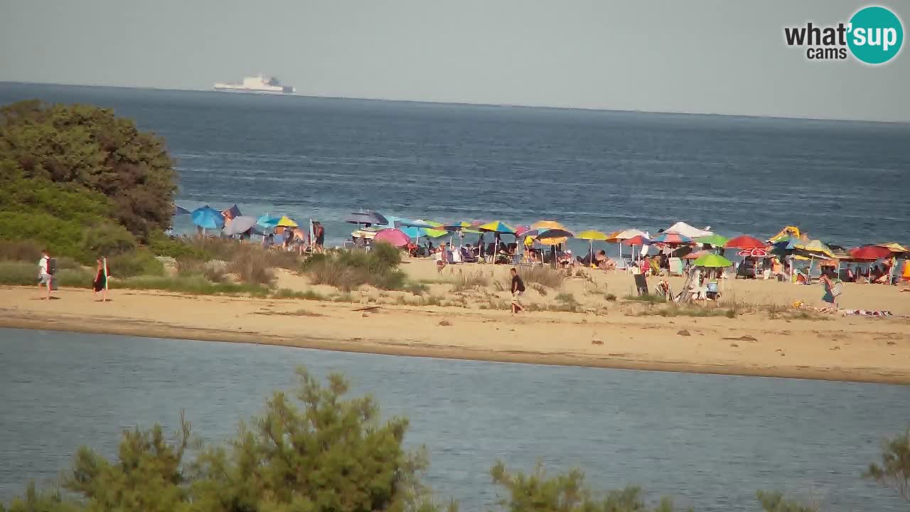 Webcam Chia – Live View of Su Giudeu Beach