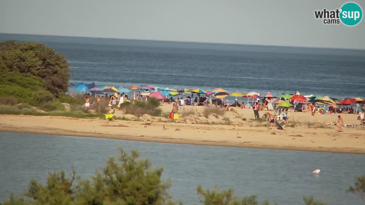 Webcam Chia – Live View of Su Giudeu Beach