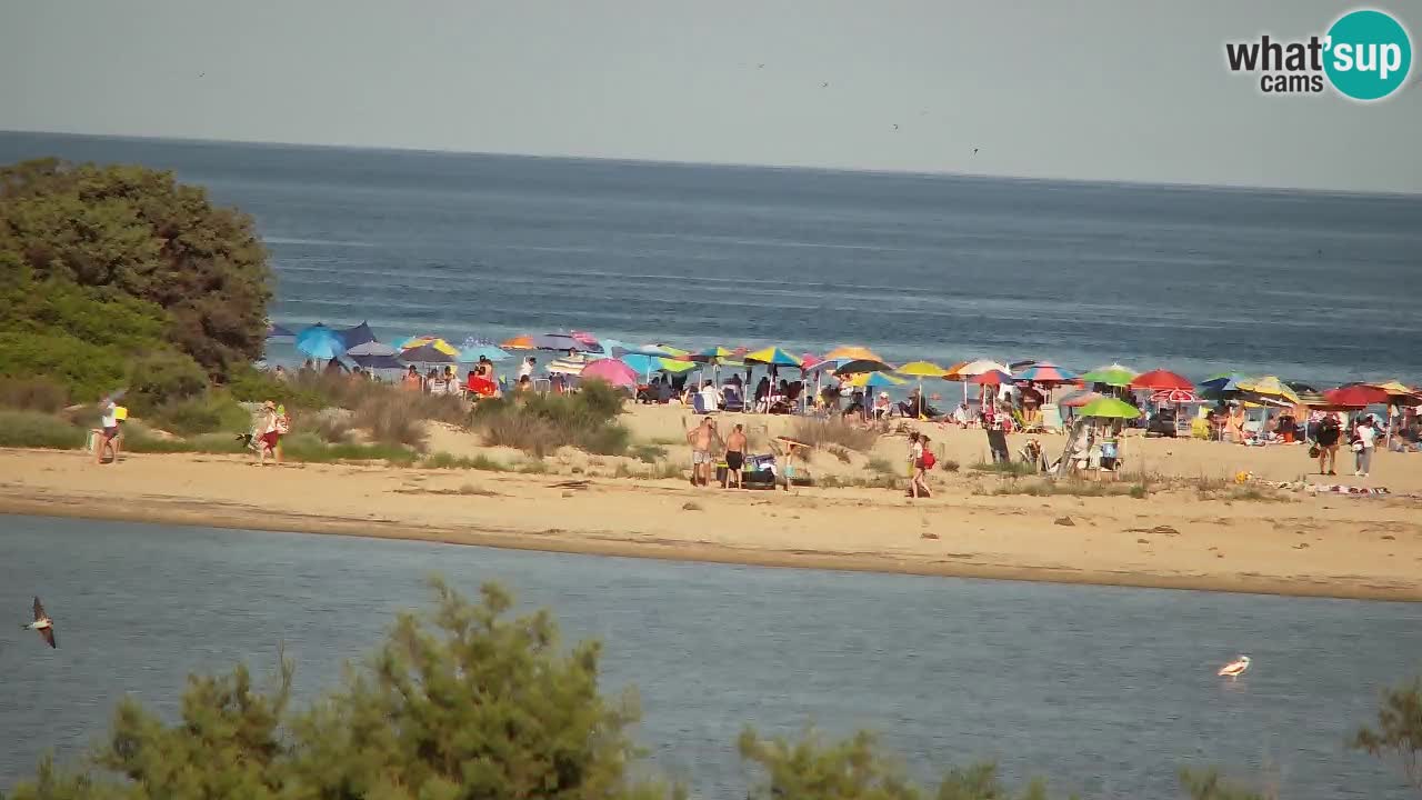 Webcam Chia – Live View of Su Giudeu Beach