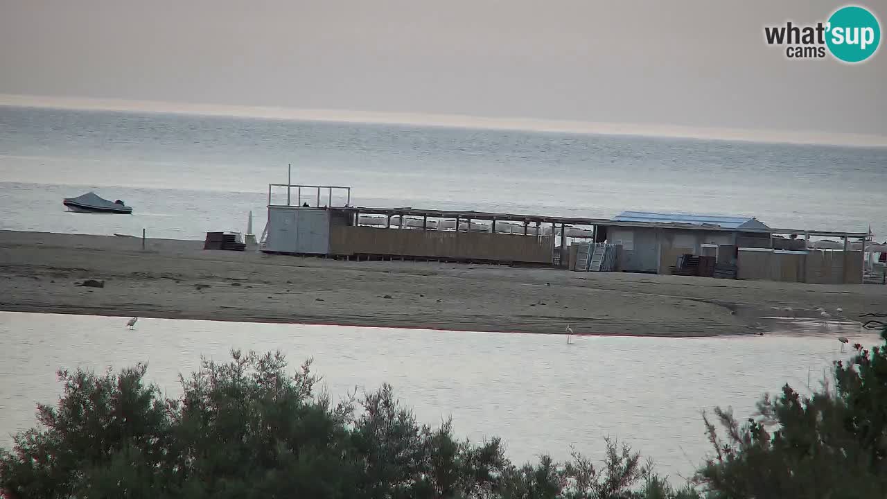 Webcam Chia – Live View of Su Giudeu Beach