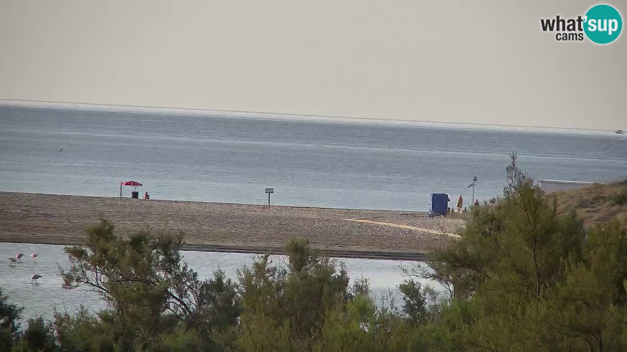 Webcam Chia – Live View of Su Giudeu Beach