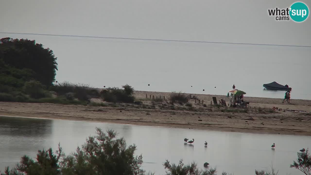 Webcam Chia – Live View of Su Giudeu Beach