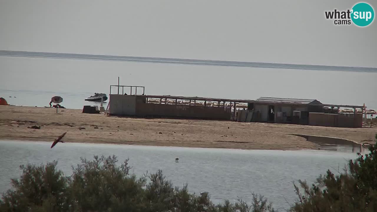 Webcam Chia – Live View of Su Giudeu Beach