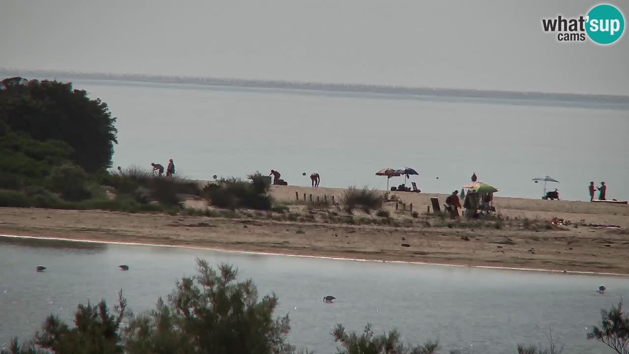 Webcam Chia – Vue en direct de la plage Su Giudeu