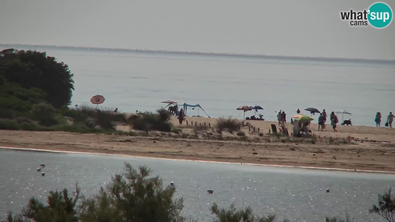 Webcam Chia – Live View of Su Giudeu Beach
