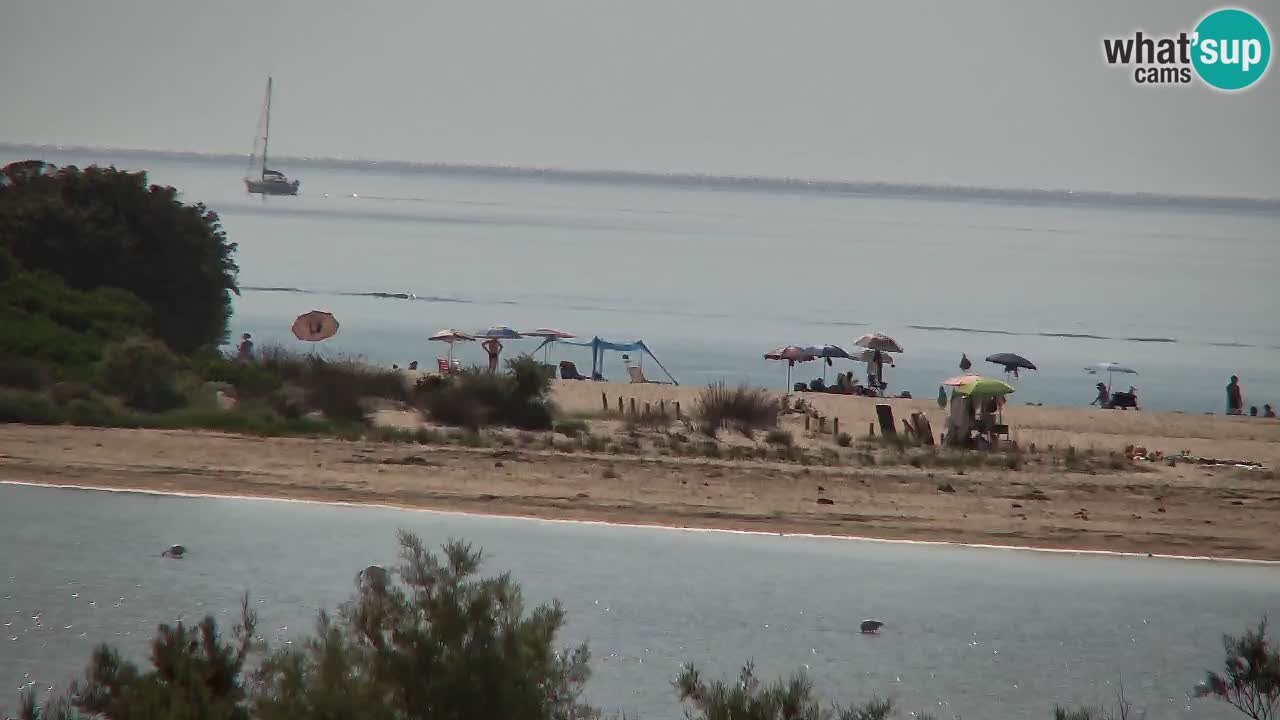 Webcam Chia – Vue en direct de la plage Su Giudeu