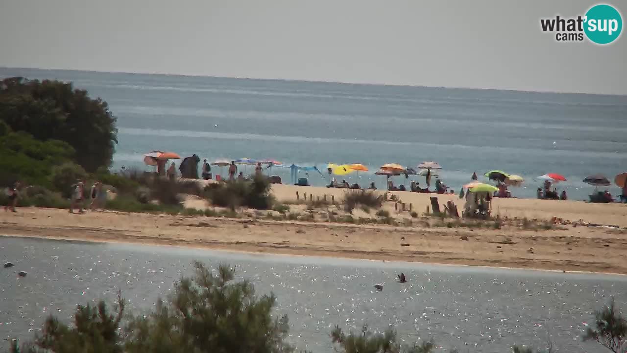 Webcam Chia – Vista en directo de la playa Su Giudeu