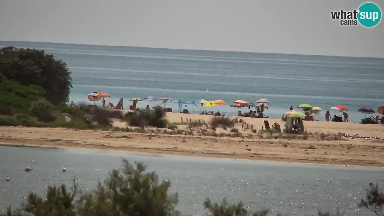 Webcam Chia – Vue en direct de la plage Su Giudeu