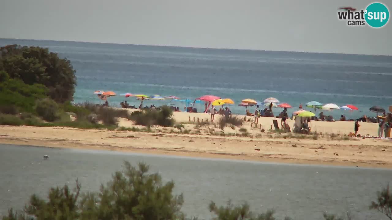 Webcam Chia – Live View of Su Giudeu Beach