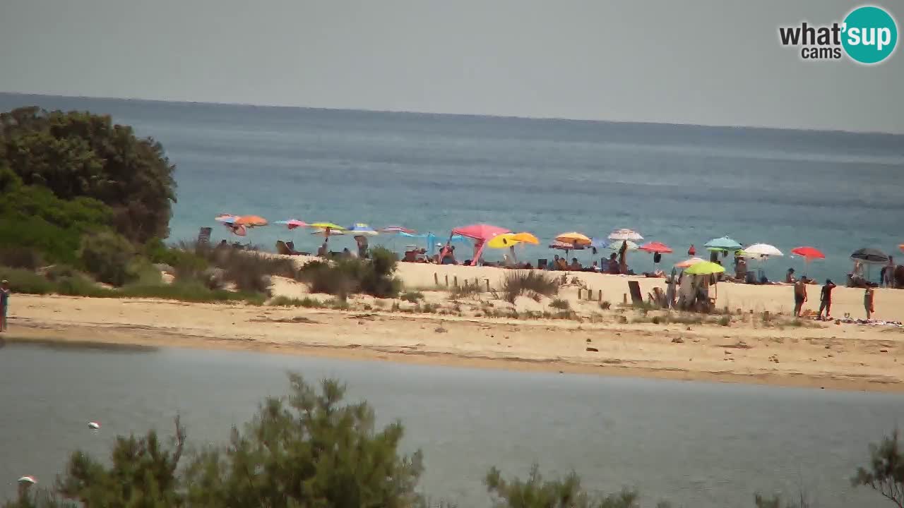Webcam Chia – Live View of Su Giudeu Beach