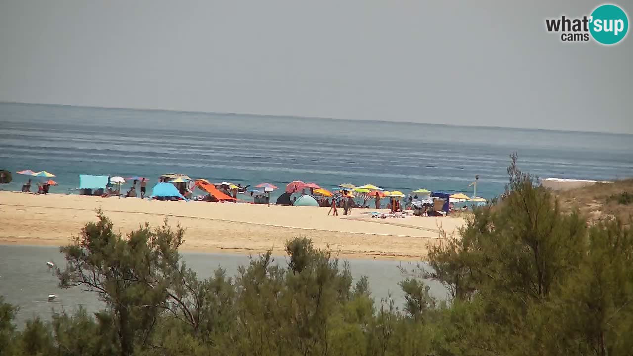Webcam Chia – Live View of Su Giudeu Beach