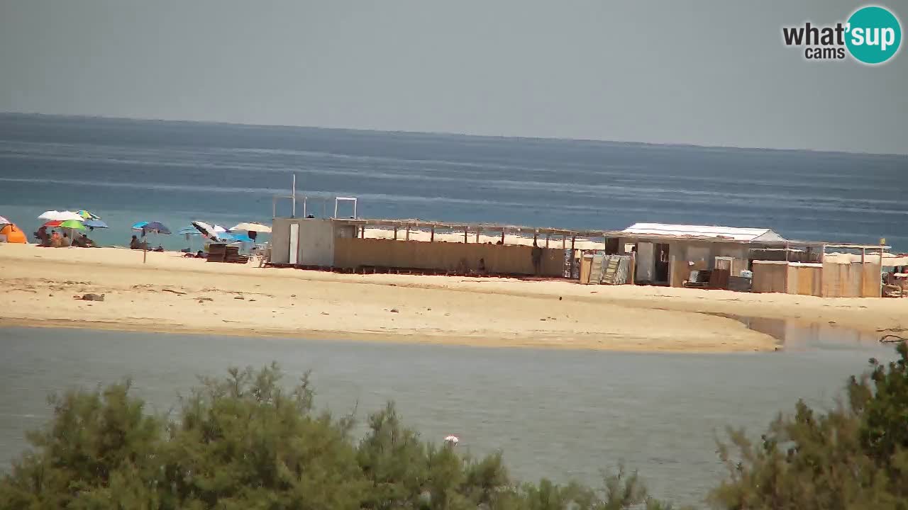 Webcam Chia – Live View of Su Giudeu Beach