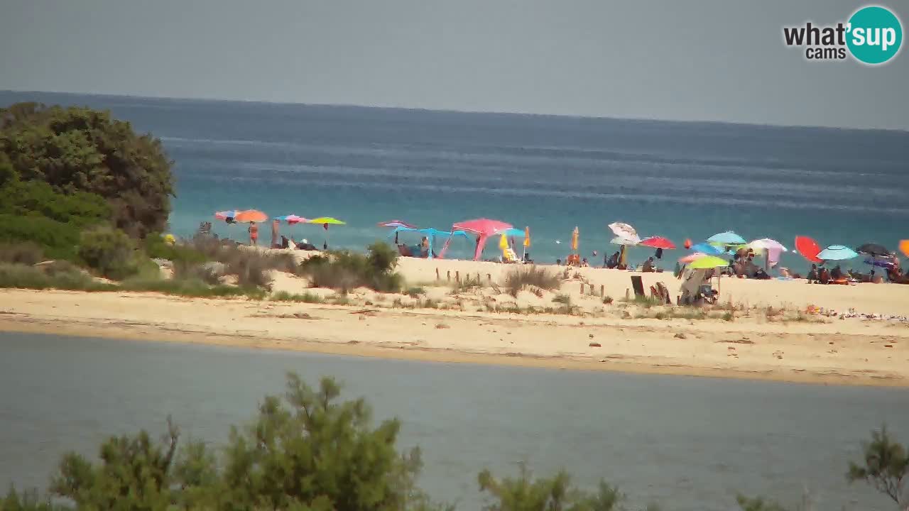 Spletna kamera Chia – Pogled v živo na plažo Su Giudeu