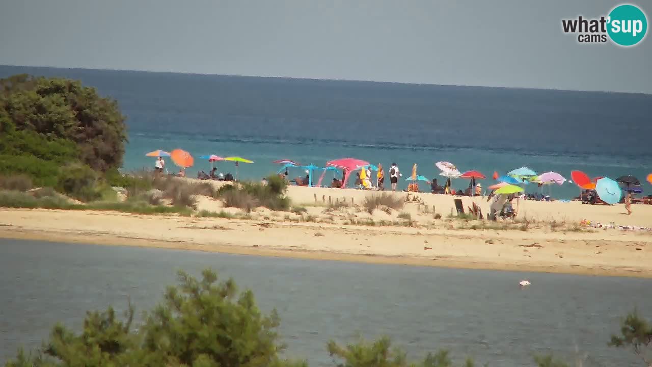 Webcam Chia – Live View of Su Giudeu Beach