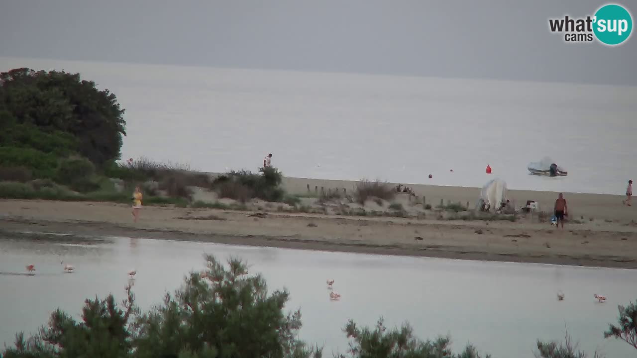 Webcam Chia – Live View of Su Giudeu Beach