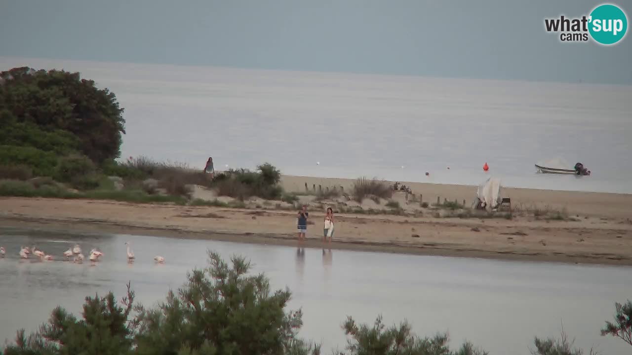 Spletna kamera Chia – Pogled v živo na plažo Su Giudeu
