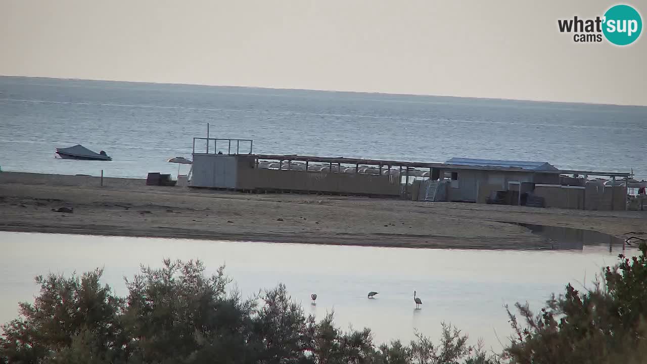 Webcam Chia – Live View of Su Giudeu Beach