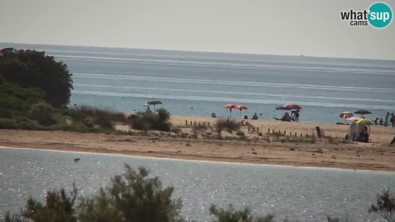 Webcam Chia – Live View of Su Giudeu Beach