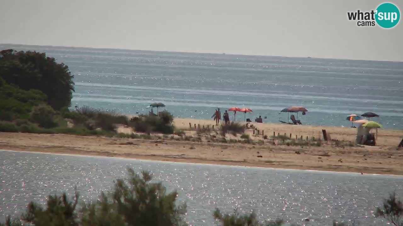 Webcam Chia – Live View of Su Giudeu Beach