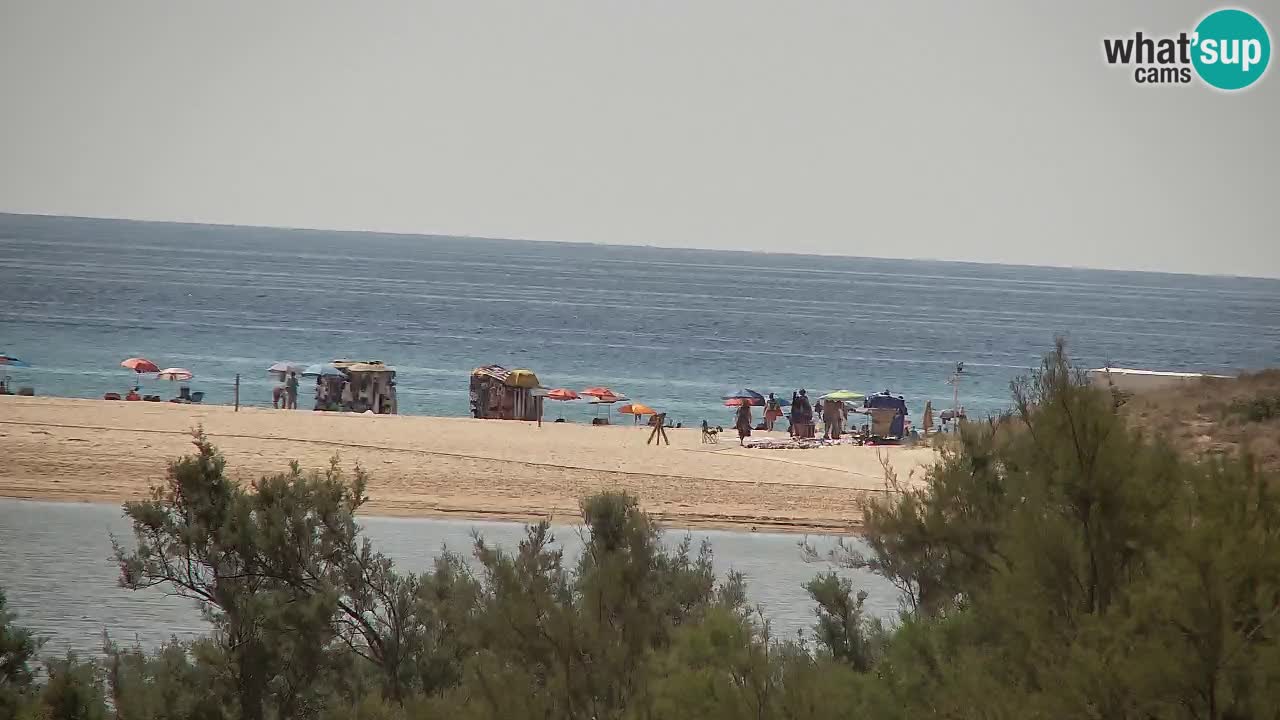 Webcam Chia – Live View of Su Giudeu Beach