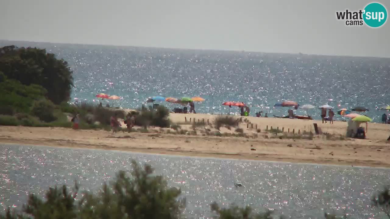 Webcam Chia – Live View of Su Giudeu Beach
