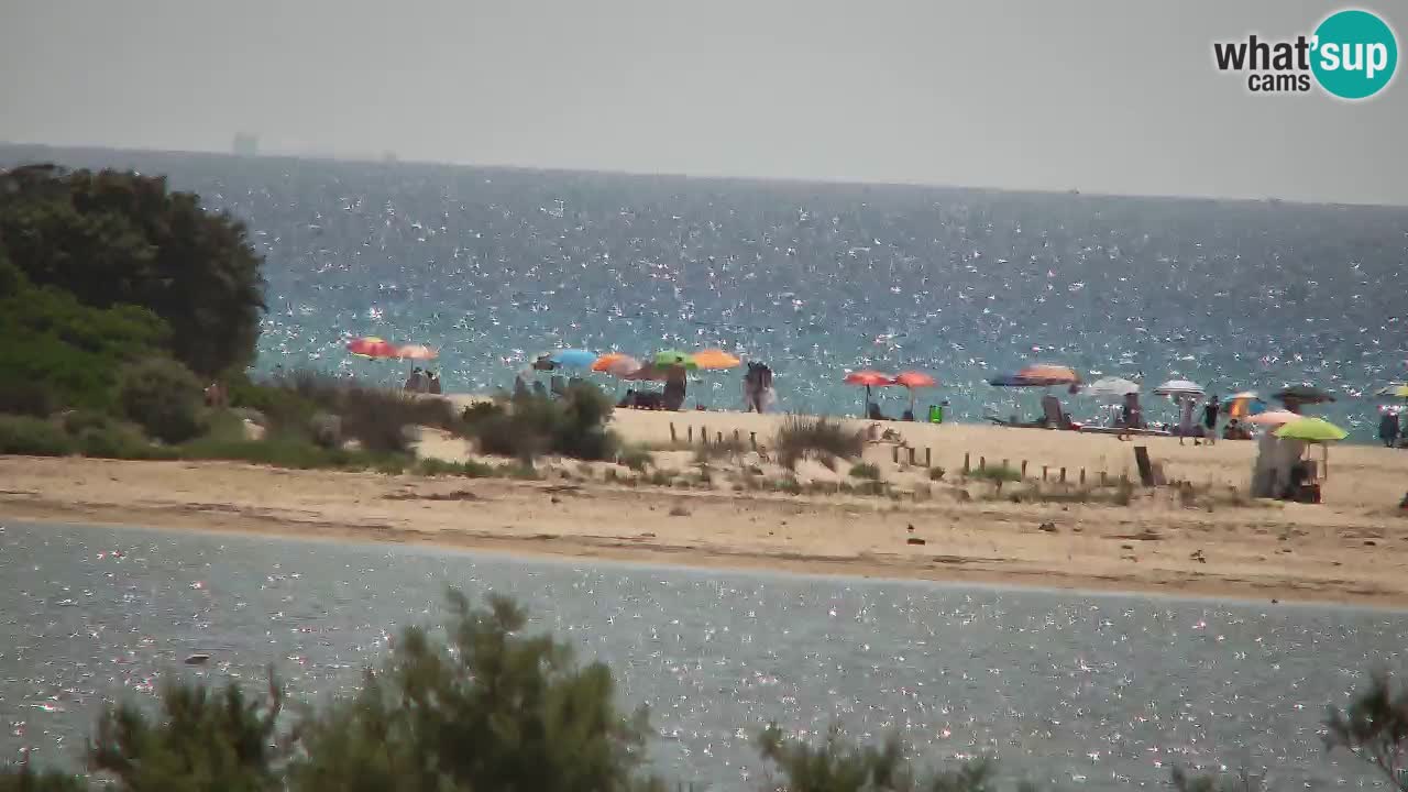 Webcam Chia – Vista en directo de la playa Su Giudeu