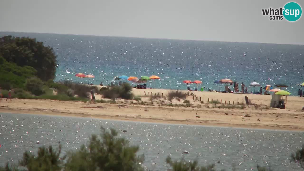 Webcam Chia – Liveblick auf den Strand Su Giudeu