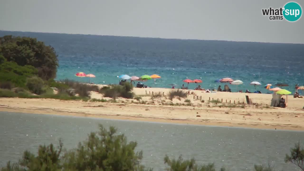 Webcam Chia – Liveblick auf den Strand Su Giudeu