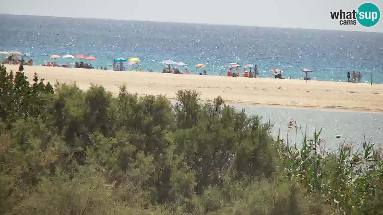 Webcam Chia – Vue en direct de la plage Su Giudeu